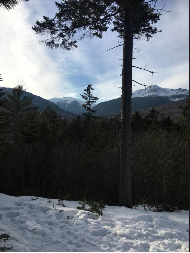 luxury hotel in the white mountains