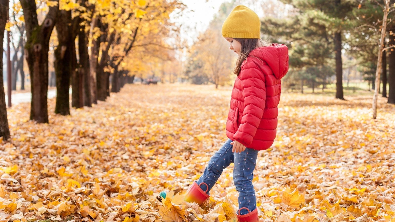 best leaf peeping hotels white mountains