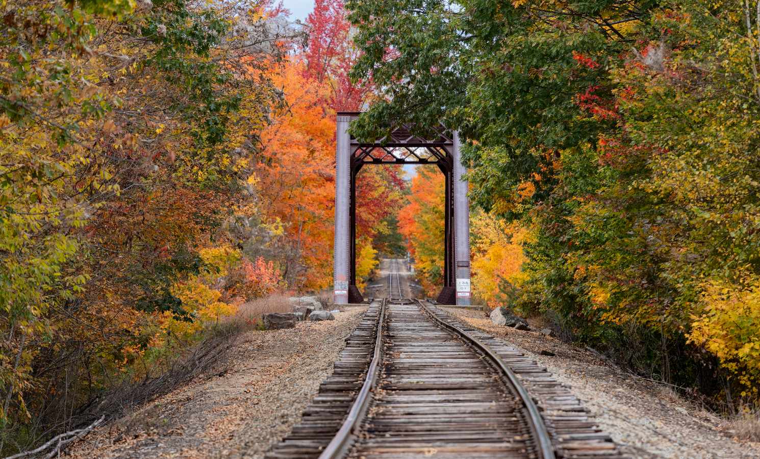 Conway Scenic Railroad in the fall