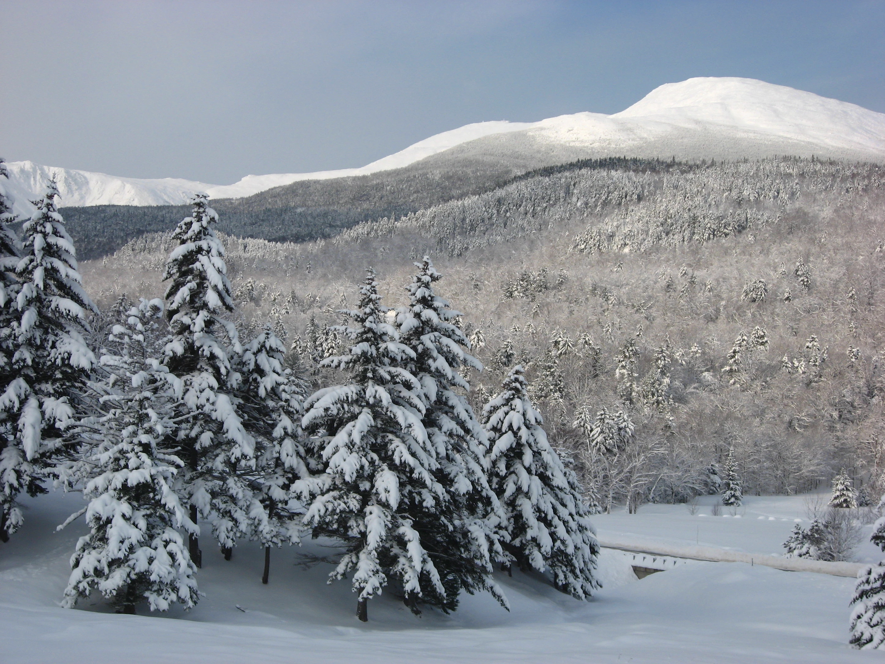 Snowy landscape with pine trees covered in snow and snowcapped mountains in the background