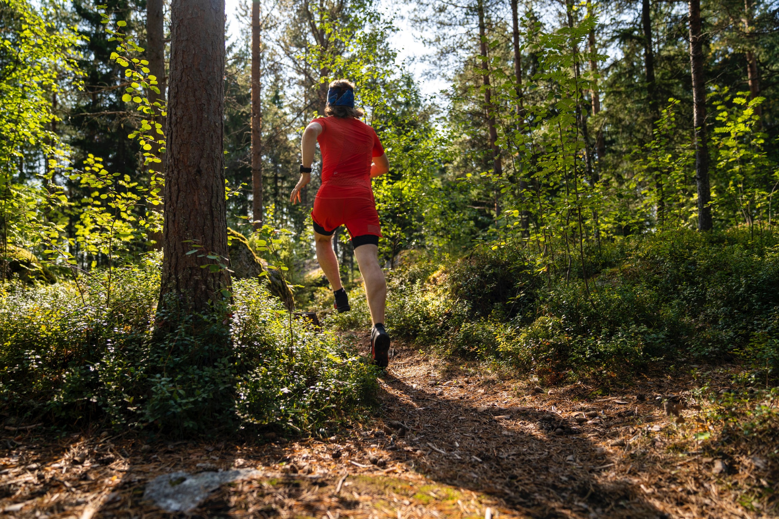 Person running on a forest trail