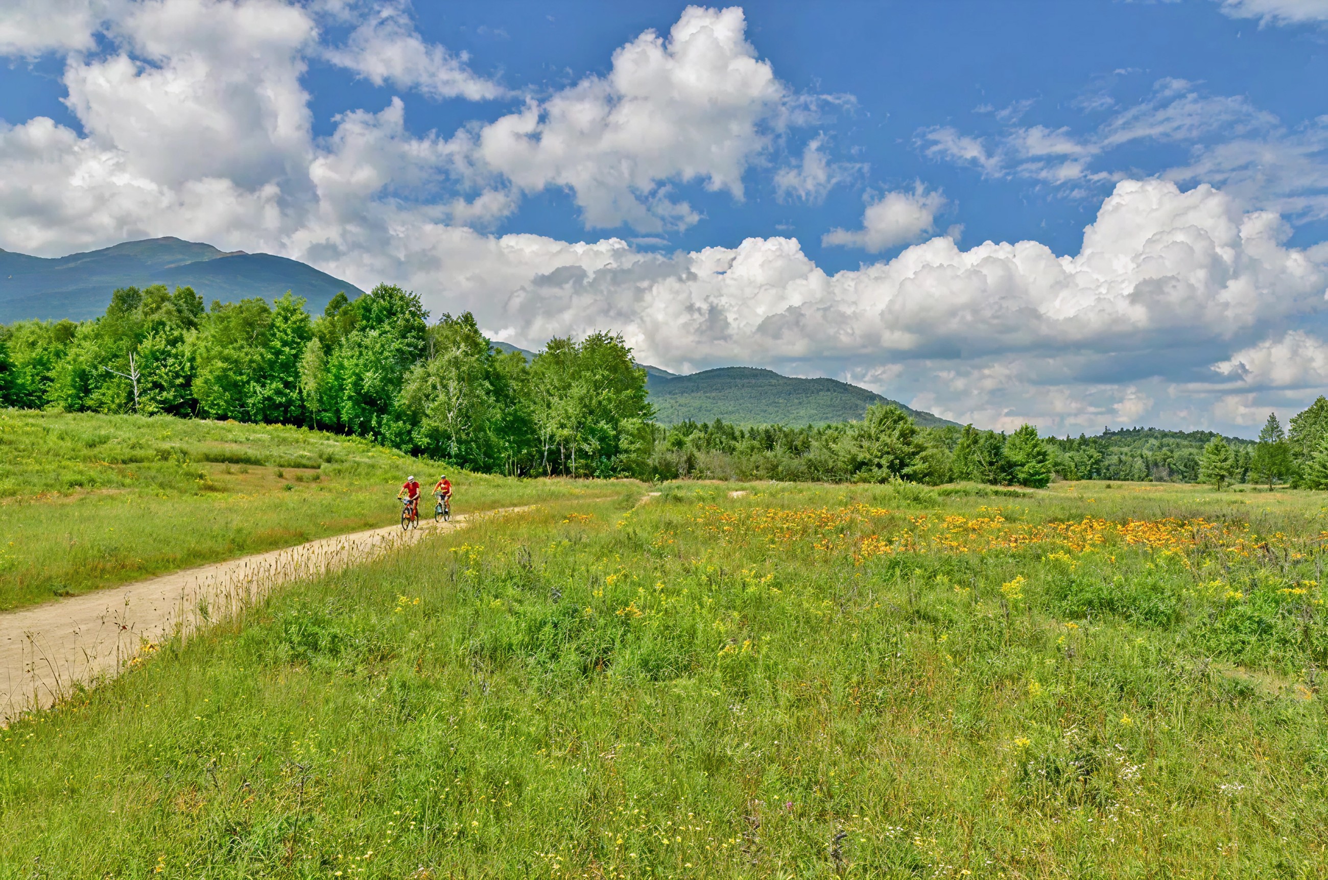 Glen House bike trail