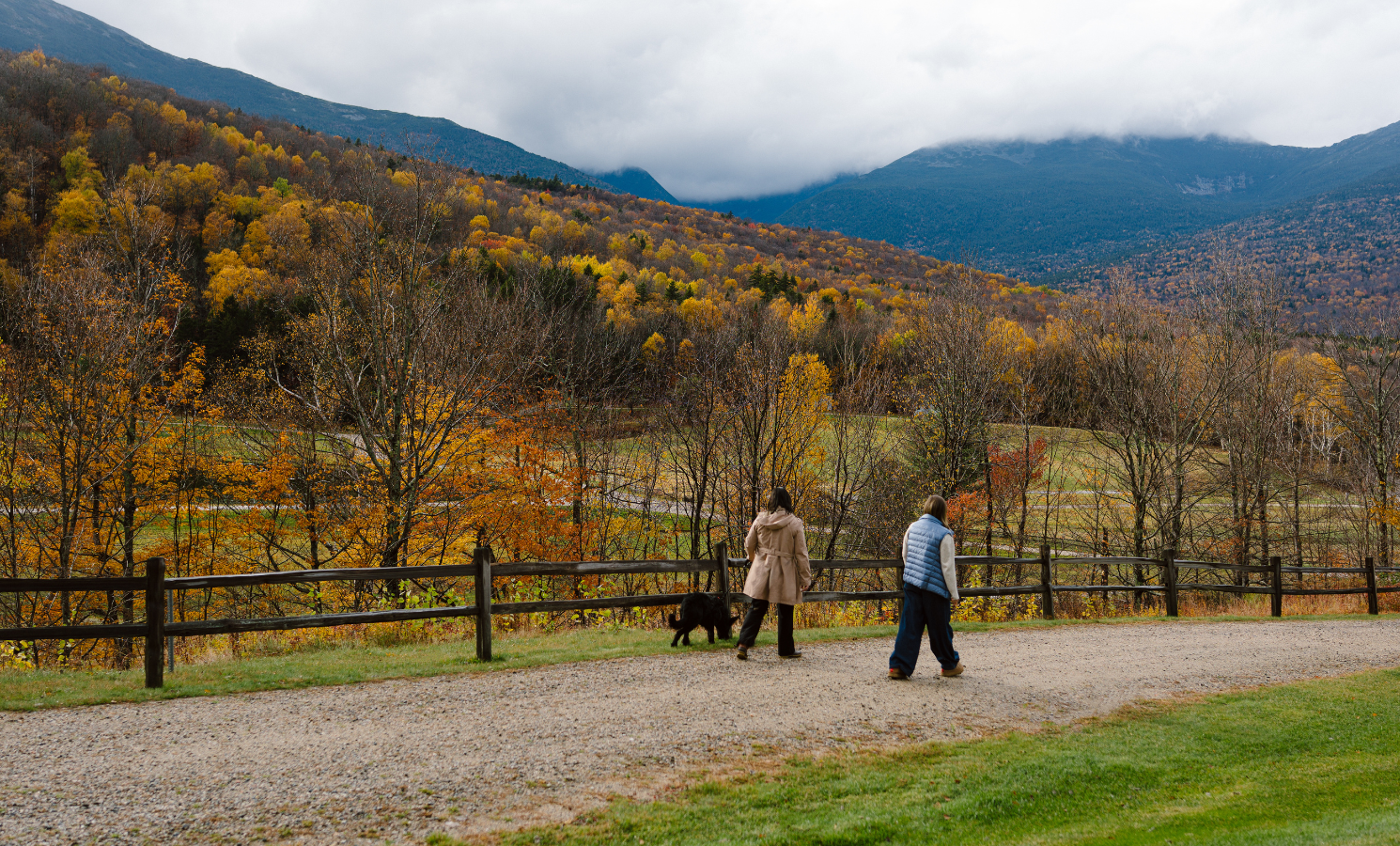 Couple walking their dog during the fall
